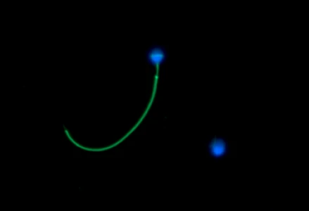 subgroup-image