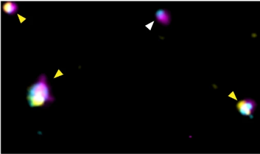group-image
